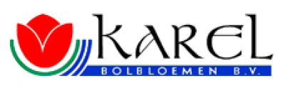 Karewl