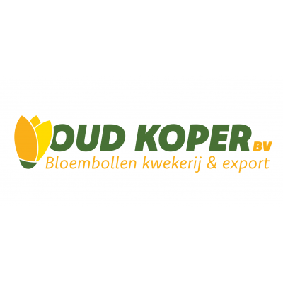 Oud-Koper